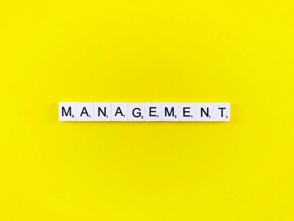 Cabinet de management de transition : l'expertise à votre service